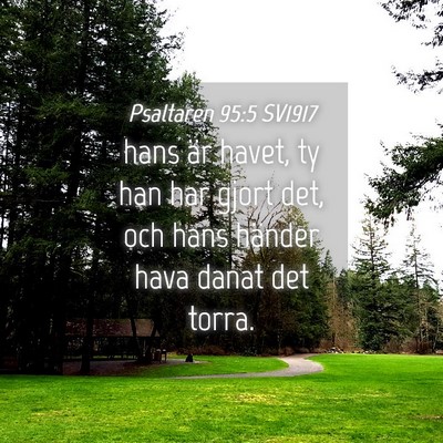 Picture 04 - Psaltaren 95:5 SV1917 - hans är havet, ty han har gjort det, och hans - Bible Verse Picture