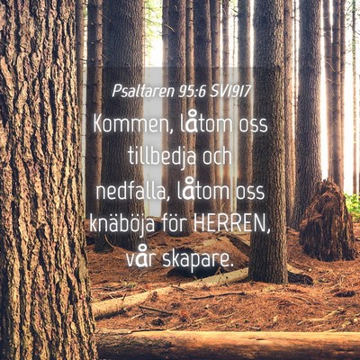Picture 04 - Psaltaren 95:6 SV1917 - Kommen, låtom oss tillbedja och nedfalla, låtom - Bible Verse Picture