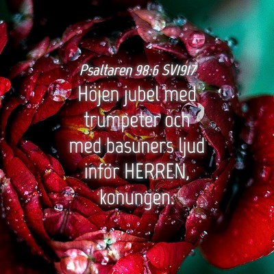 Picture 04 - Psaltaren 98:6 SV1917 - Höjen jubel med trumpeter och med basuners ljud - Bible Verse Picture