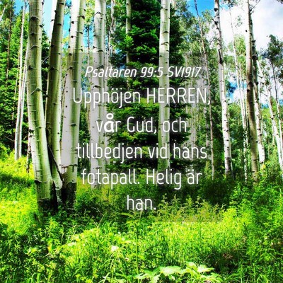 Picture 04 - Psaltaren 99:5 SV1917 - Upphöjen HERREN, vår Gud, och tillbedjen vid - Bible Verse Picture