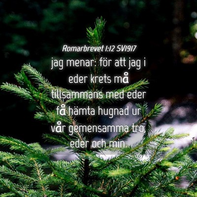 Picture 04 - Romarbrevet 1:12 SV1917 - jag menar: för att jag i eder krets må - Bible Verse Picture