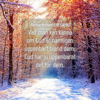 Picture 04 - Romarbrevet 1:19 SV1917 - Vad man kan känna om Gud är nämligen uppenbart - Bible Verse Picture