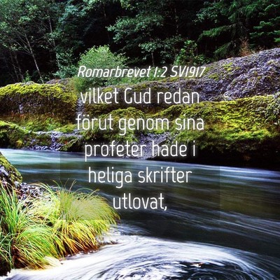 Picture 04 - Romarbrevet 1:2 SV1917 - vilket Gud redan förut genom sina profeter hade - Bible Verse Picture