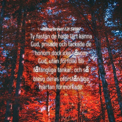 Picture 04 - Romarbrevet 1:21 SV1917 - Ty fastän de hade lärt känna Gud, prisade och - Bible Verse Picture