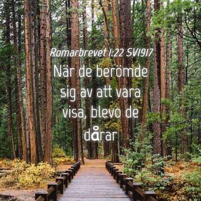 Picture 04 - Romarbrevet 1:22 SV1917 - När de berömde sig av att vara visa, blevo de - Bible Verse Picture