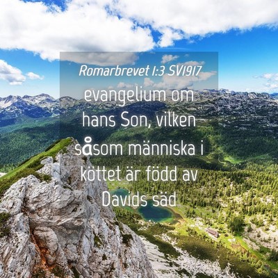 Picture 04 - Romarbrevet 1:3 SV1917 - evangelium om hans Son, vilken såsom människa i - Bible Verse Picture