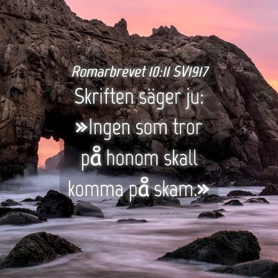Picture 04 - Romarbrevet 10:11 SV1917 - Skriften säger ju: »Ingen som tror på honom - Bible Verse Picture