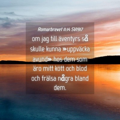Picture 04 - Romarbrevet 11:14 SV1917 - om jag till äventyrs så skulle kunna - Bible Verse Picture