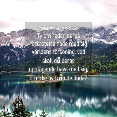 Picture 04 - Romarbrevet 11:15 SV1917 - Ty om redan deras förkastelse hade med sig - Bible Verse Picture