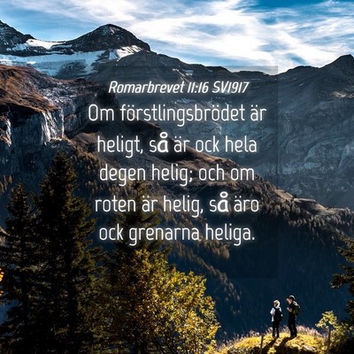 Picture 04 - Romarbrevet 11:16 SV1917 - Om förstlingsbrödet är heligt, så är ock - Bible Verse Picture