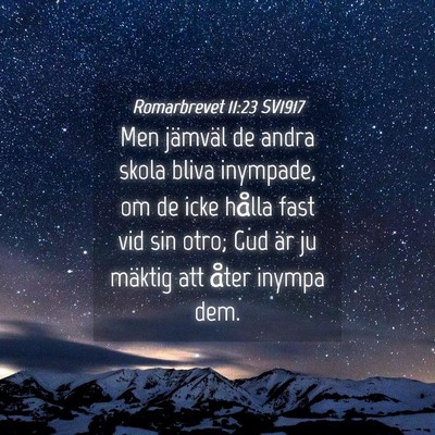 Picture 04 - Romarbrevet 11:23 SV1917 - Men jämväl de andra skola bliva inympade, om de - Bible Verse Picture