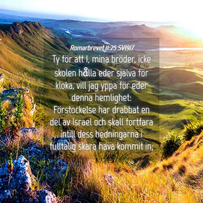 Picture 04 - Romarbrevet 11:25 SV1917 - Ty för att I, mina bröder, icke skolen hålla - Bible Verse Picture