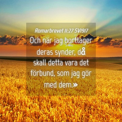 Picture 04 - Romarbrevet 11:27 SV1917 - Och när jag borttager deras synder, då skall - Bible Verse Picture