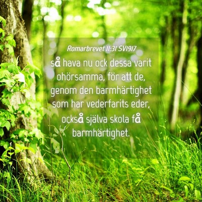 Picture 04 - Romarbrevet 11:31 SV1917 - så hava nu ock dessa varit ohörsamma, för att - Bible Verse Picture