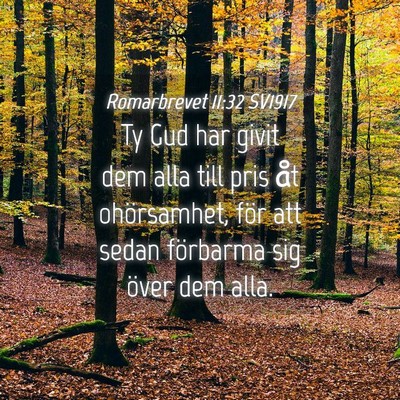 Picture 04 - Romarbrevet 11:32 SV1917 - Ty Gud har givit dem alla till pris åt - Bible Verse Picture