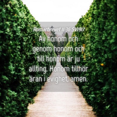 Picture 04 - Romarbrevet 11:36 SV1917 - Av honom och genom honom och till honom är ju - Bible Verse Picture