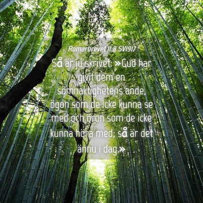 Picture 04 - Romarbrevet 11:8 SV1917 - Så är ju skrivet: »Gud har givit dem en - Bible Verse Picture