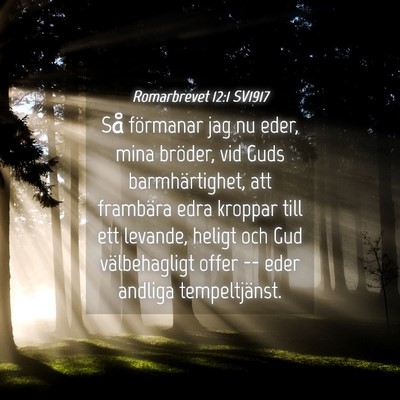 Picture 04 - Romarbrevet 12:1 SV1917 - Så förmanar jag nu eder, mina bröder, vid Guds - Bible Verse Picture
