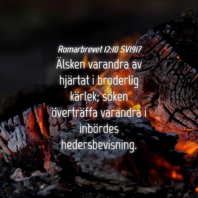 Picture 04 - Romarbrevet 12:10 SV1917 - Älsken varandra av hjärtat i broderlig kärlek; - Bible Verse Picture