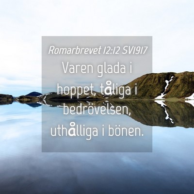 Picture 04 - Romarbrevet 12:12 SV1917 - Varen glada i hoppet, tåliga i bedrövelsen, - Bible Verse Picture
