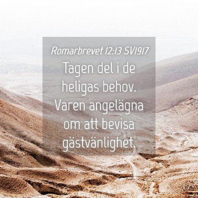 Picture 04 - Romarbrevet 12:13 SV1917 - Tagen del i de heligas behov. Varen angelägna om - Bible Verse Picture