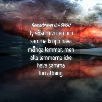 Picture 04 - Romarbrevet 12:4 SV1917 - Ty såsom vi i en och samma kropp hava många - Bible Verse Picture