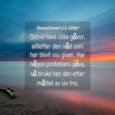 Picture 04 - Romarbrevet 12:6 SV1917 - Och vi hava olika gåvor, alltefter den nåd som - Bible Verse Picture