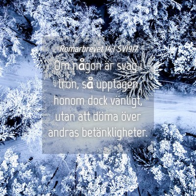 Picture 04 - Romarbrevet 14:1 SV1917 - Om någon är svag i tron, så upptagen honom - Bible Verse Picture