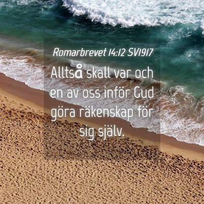 Picture 04 - Romarbrevet 14:12 SV1917 - Alltså skall var och en av oss inför Gud göra - Bible Verse Picture