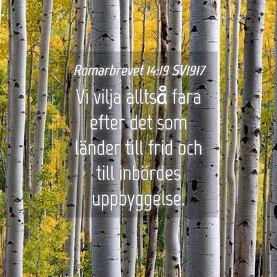 Picture 04 - Romarbrevet 14:19 SV1917 - Vi vilja alltså fara efter det som länder till - Bible Verse Picture