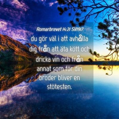 Picture 04 - Romarbrevet 14:21 SV1917 - du gör väl i att avhålla dig från att äta - Bible Verse Picture