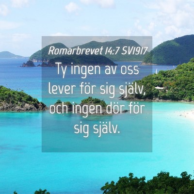 Picture 04 - Romarbrevet 14:7 SV1917 - Ty ingen av oss lever för sig själv, och ingen - Bible Verse Picture