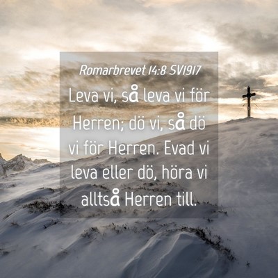 Picture 04 - Romarbrevet 14:8 SV1917 - Leva vi, så leva vi för Herren; dö vi, så dö - Bible Verse Picture