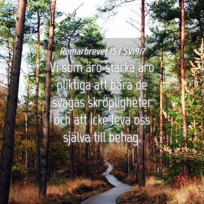 Picture 04 - Romarbrevet 15:1 SV1917 - Vi som äro starka äro pliktiga att bära de - Bible Verse Picture