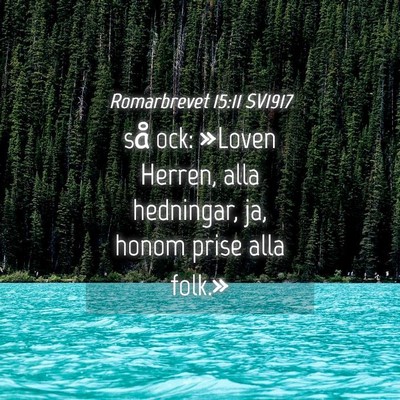 Picture 04 - Romarbrevet 15:11 SV1917 - så ock: »Loven Herren, alla hedningar, ja, - Bible Verse Picture