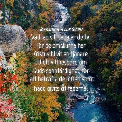 Picture 04 - Romarbrevet 15:8 SV1917 - Vad jag vill säga är detta: För de omskurna - Bible Verse Picture