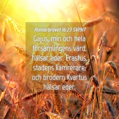 Picture 04 - Romarbrevet 16:23 SV1917 - Gajus, min och hela församlingens värd, hälsar - Bible Verse Picture