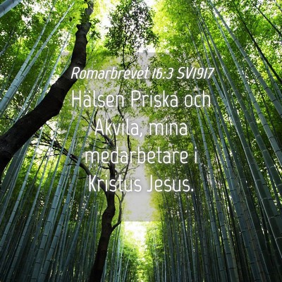 Picture 04 - Romarbrevet 16:3 SV1917 - Hälsen Priska och Akvila, mina medarbetare i - Bible Verse Picture