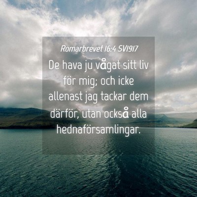 Picture 04 - Romarbrevet 16:4 SV1917 - De hava ju vågat sitt liv för mig; och icke - Bible Verse Picture