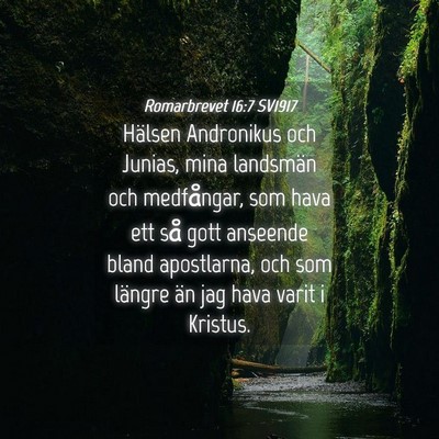 Picture 04 - Romarbrevet 16:7 SV1917 - Hälsen Andronikus och Junias, mina landsmän och - Bible Verse Picture