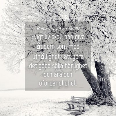 Picture 04 - Romarbrevet 2:7 SV1917 - Evigt liv skall han giva åt dem som med - Bible Verse Picture