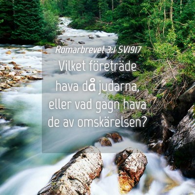 Picture 04 - Romarbrevet 3:1 SV1917 - Vilket företräde hava då judarna, eller vad - Bible Verse Picture