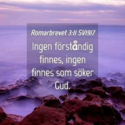 Picture 04 - Romarbrevet 3:11 SV1917 - Ingen förståndig finnes, ingen finnes som - Bible Verse Picture