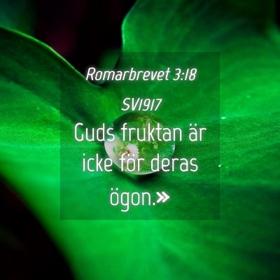 Picture 04 - Romarbrevet 3:18 SV1917 - Guds fruktan är icke för deras - Bible Verse Picture