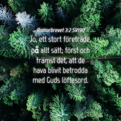 Picture 04 - Romarbrevet 3:2 SV1917 - Jo, ett stort företräde, på allt sätt; först - Bible Verse Picture