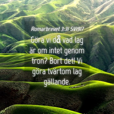 Picture 04 - Romarbrevet 3:31 SV1917 - Göra vi då vad lag är om intet genom tron? - Bible Verse Picture