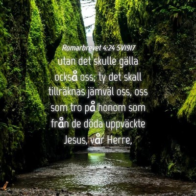 Picture 04 - Romarbrevet 4:24 SV1917 - utan det skulle gälla också oss; ty det skall - Bible Verse Picture