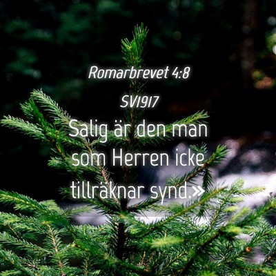 Picture 04 - Romarbrevet 4:8 SV1917 - Salig är den man som Herren icke tillräknar - Bible Verse Picture