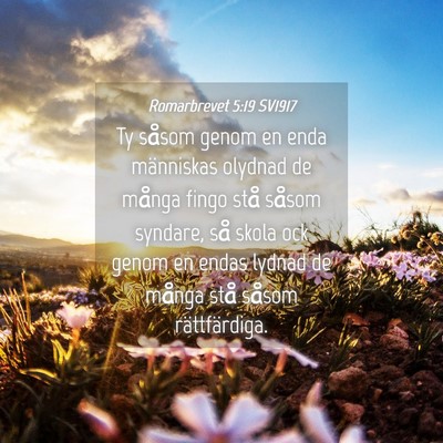 Picture 04 - Romarbrevet 5:19 SV1917 - Ty såsom genom en enda människas olydnad de - Bible Verse Picture