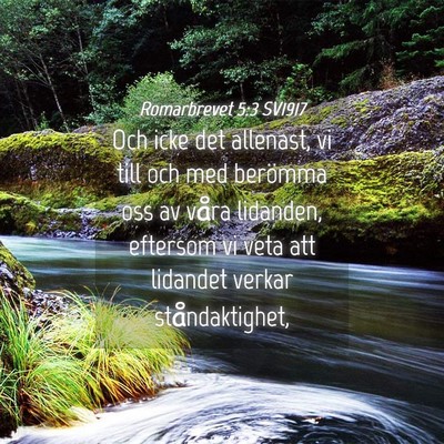 Picture 04 - Romarbrevet 5:3 SV1917 - Och icke det allenast, vi till och med berömma - Bible Verse Picture
